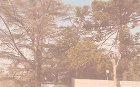Quinta